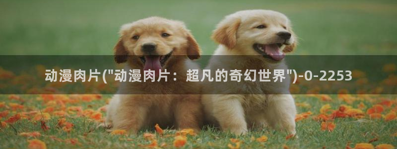 二次元动漫