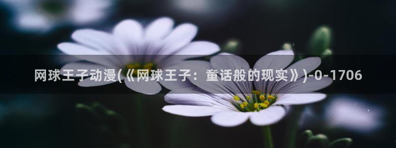 58动漫网站
