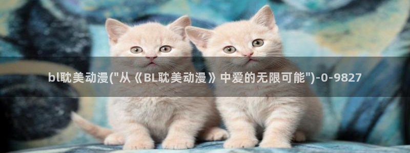 动漫视频