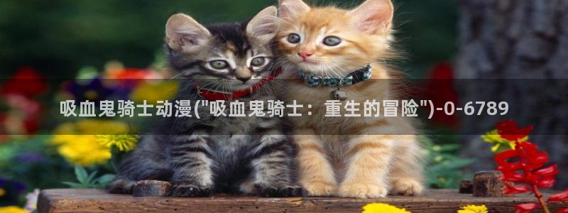 双男主动漫