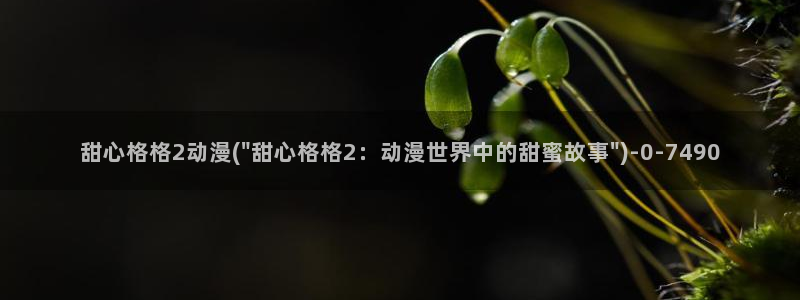 58动漫网