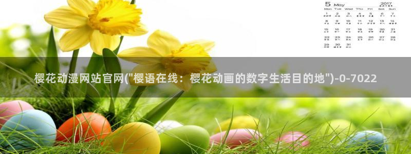 动漫解说
